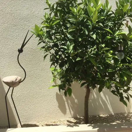 Destine * Рогозница