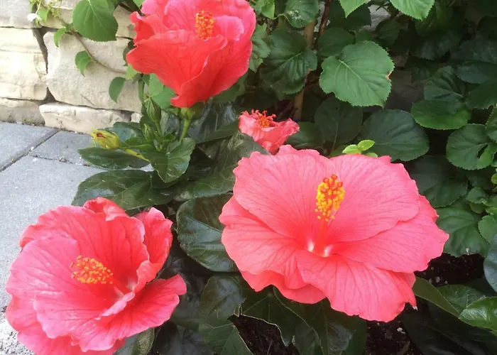 Destine アパート